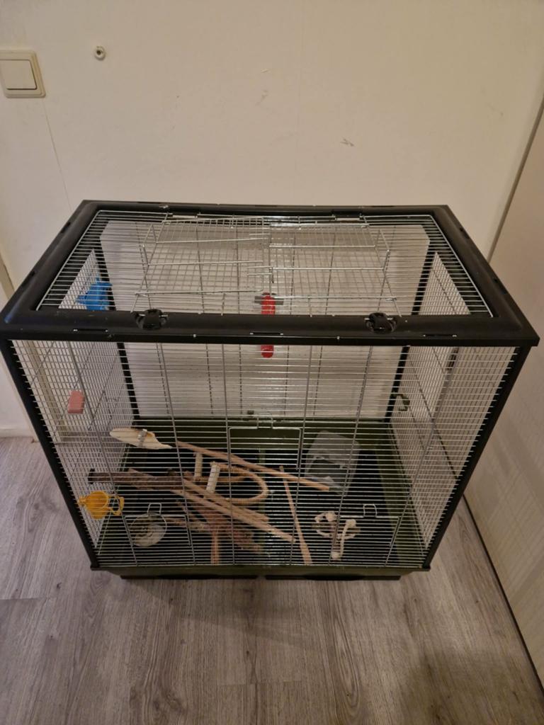 Vogelkooi compleet 40 euro, Dieren en Toebehoren, Vogels | Hokken en Kooien, Ophalen, Zo goed als nieuw, Metaal, Vogelkooi