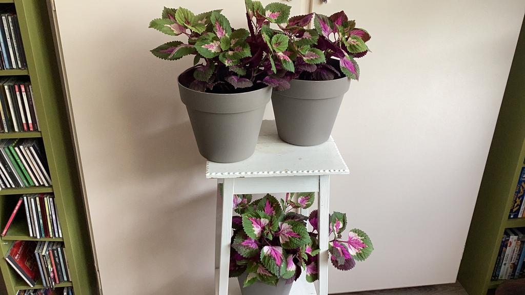 Siernetel, Ophalen, Kunststof, Minder dan 30 cm, Minder dan 60 cm