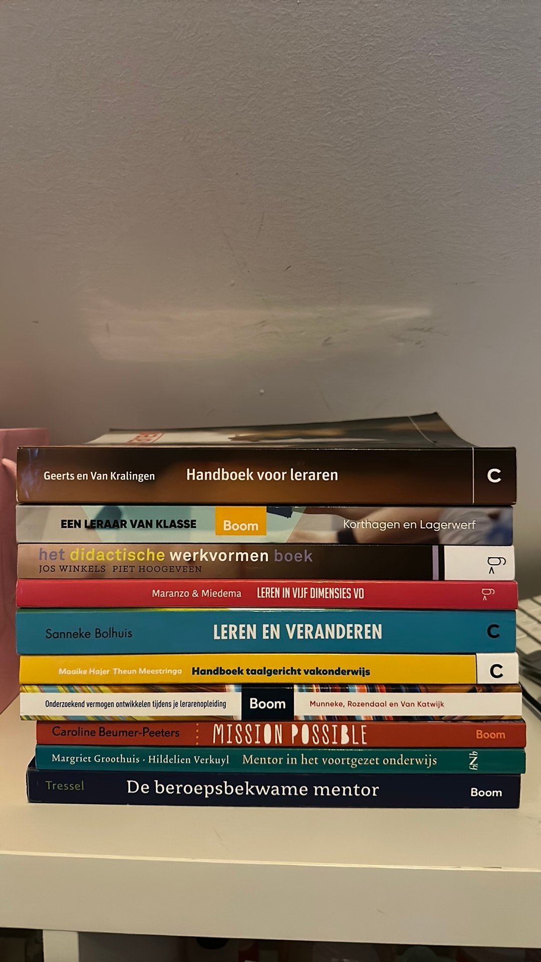Boeken lerarenopleiding Nederlands, Ophalen of Verzenden, Zo goed als nieuw, School, Studie en Wetenschap