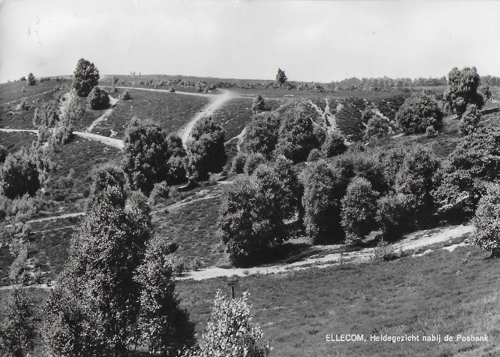 Pa665 gelopen ansichtkaart heidegezicht ellecom, Ophalen of Verzenden, 1960 tot 1980, Gelopen