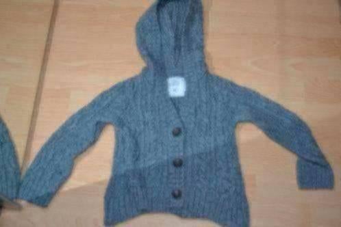 110 grijs vest, Verzenden, Zo goed als nieuw, Meisje, Trui of Vest