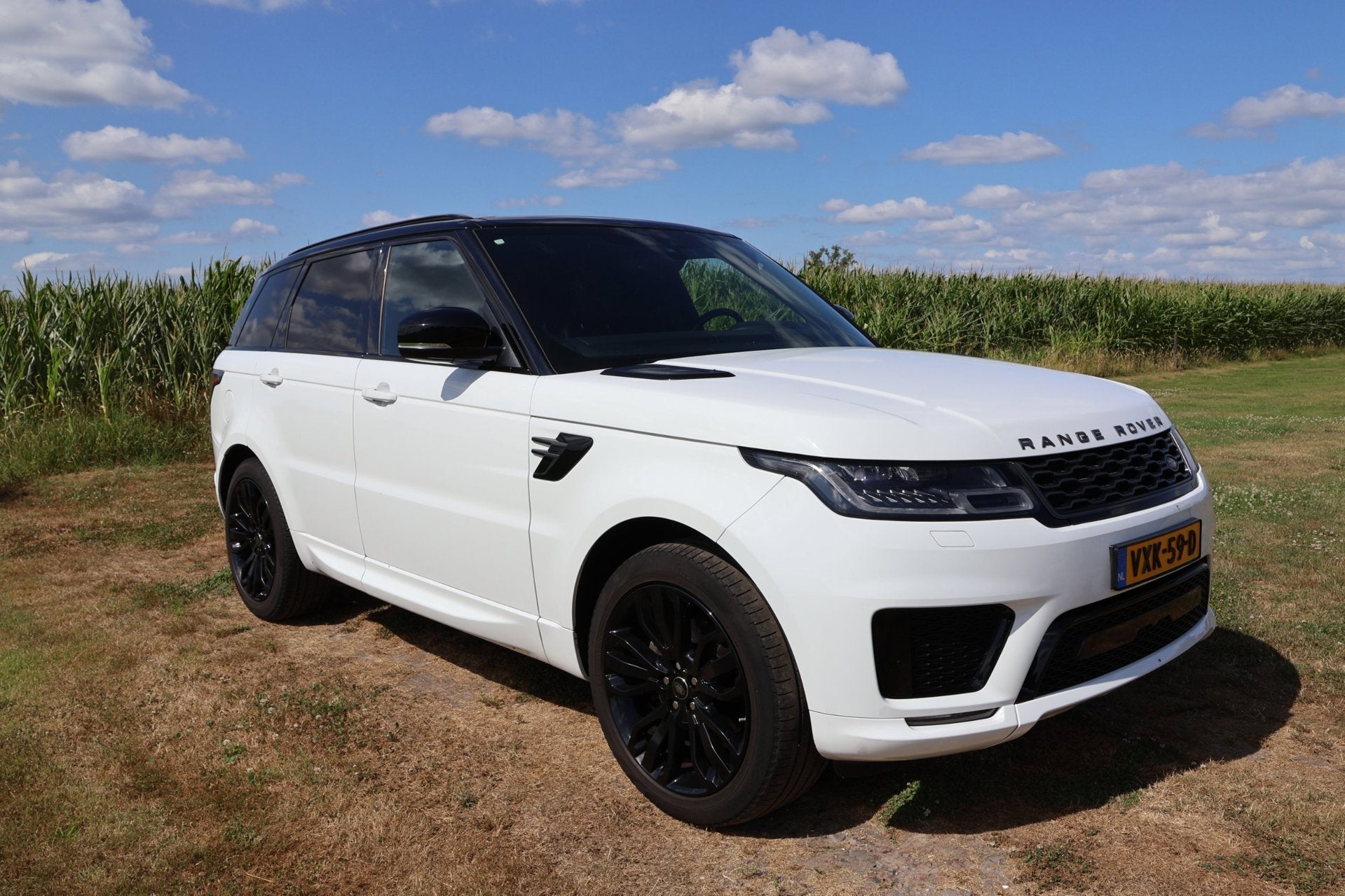 Land Rover Range Rover Sport 3.0 HSE|GRIJS Kenteken|PANO|Luc, Auto's, Dealer onderhouden, 249 pk, 2993 cc, Wit