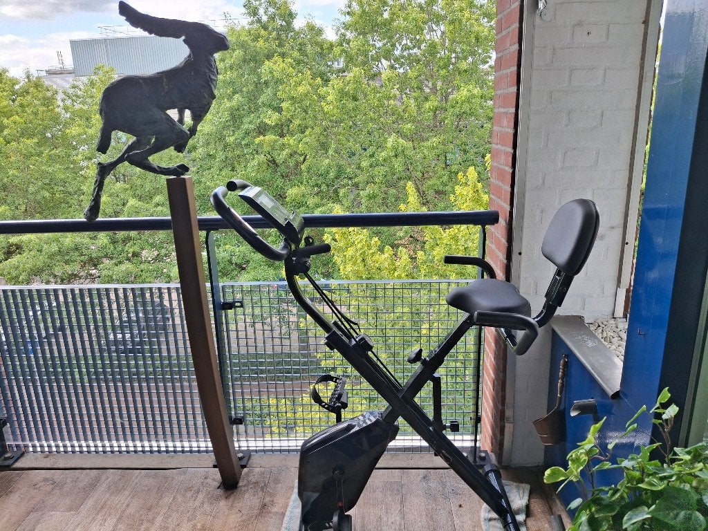 Hometrainer opklapbaar/verrijdbaar, Ophalen, Zo goed als nieuw, Benen, Hometrainer