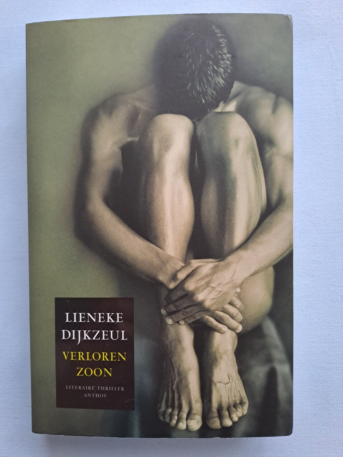 Lieneke Dijkzeul- Verloren zoon., Ophalen, Gelezen
