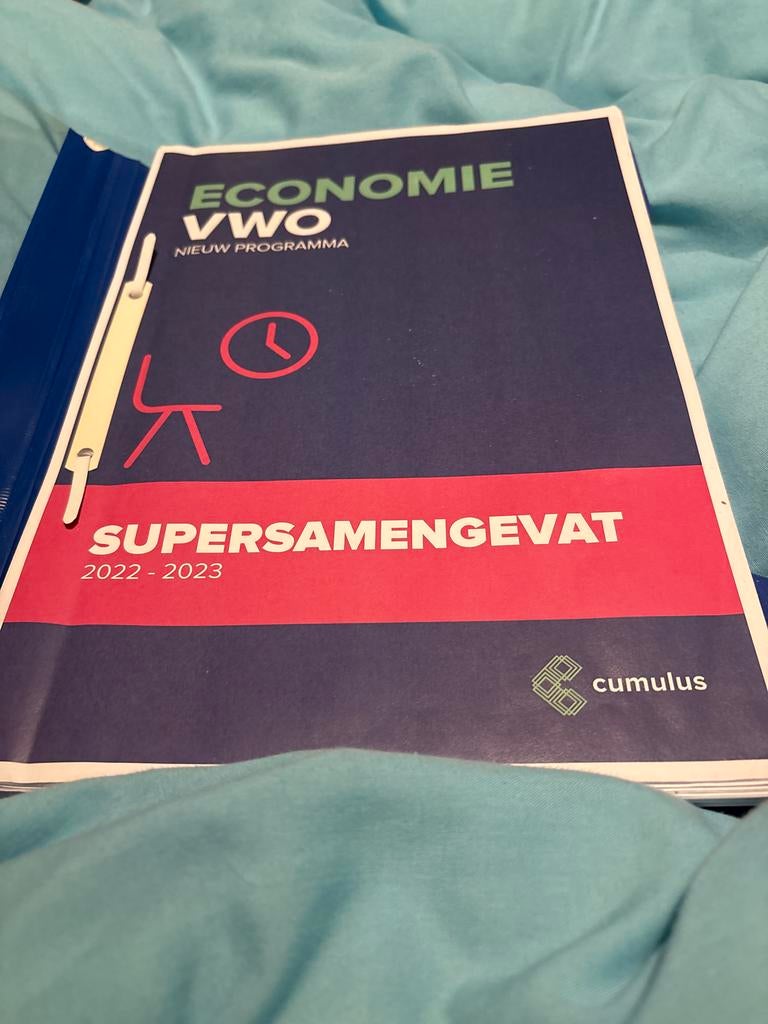 Cumulus Economie VWO supersamengevat 2022/2023, Ophalen of Verzenden, Gelezen, Economie en Marketing
