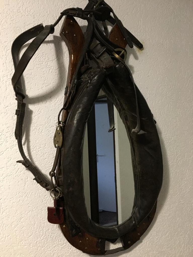 Paardenhaam met spiegel, Dieren en Toebehoren, Ophalen, Overige soorten