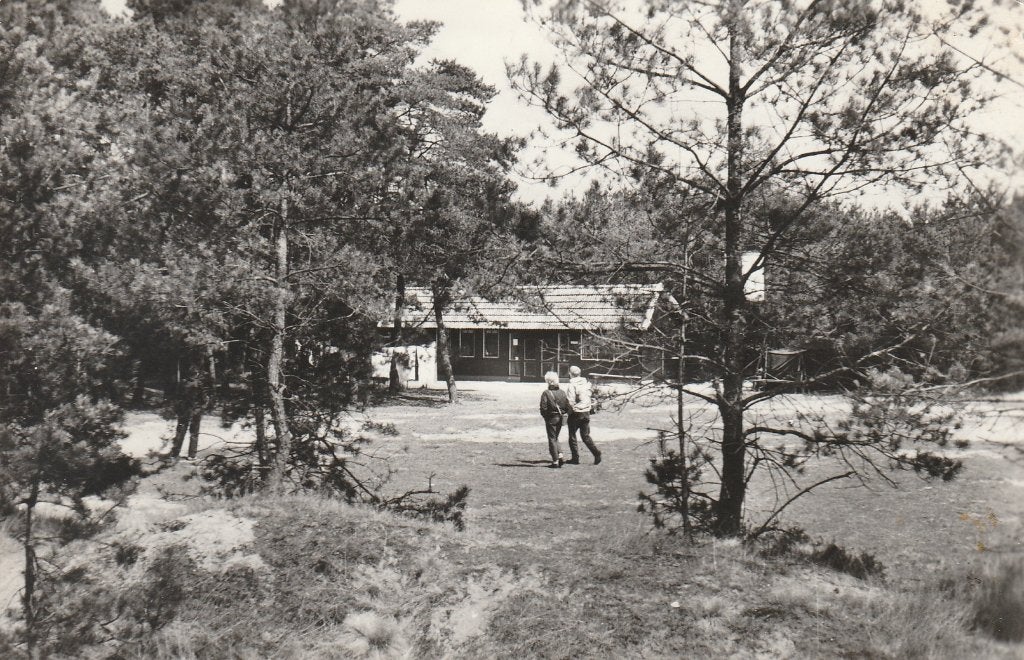 Rijssen    Camping de Hoch, Ophalen of Verzenden, 1940 tot 1960, Gelopen, Drenthe