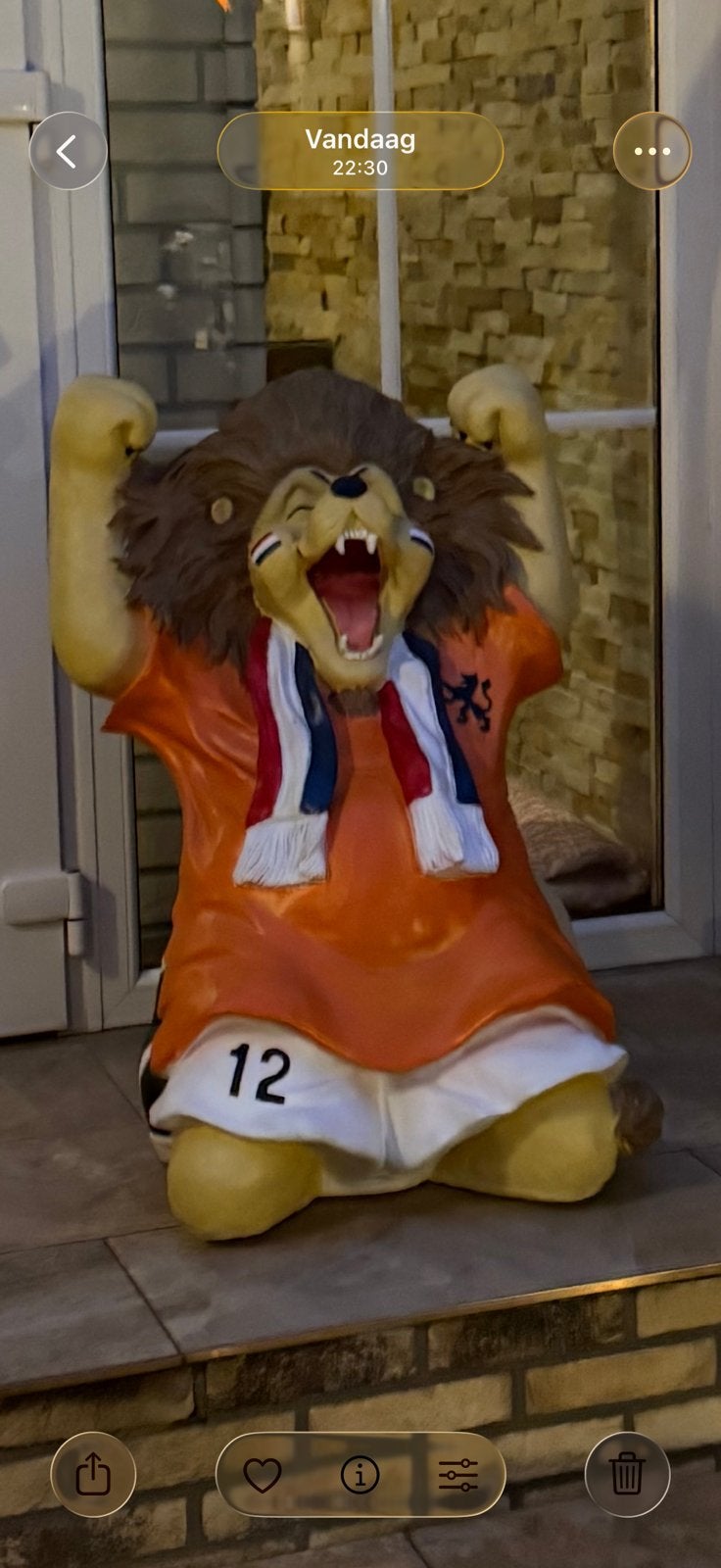 Grote oranje leeuw wk, Ophalen of Verzenden, Zo goed als nieuw