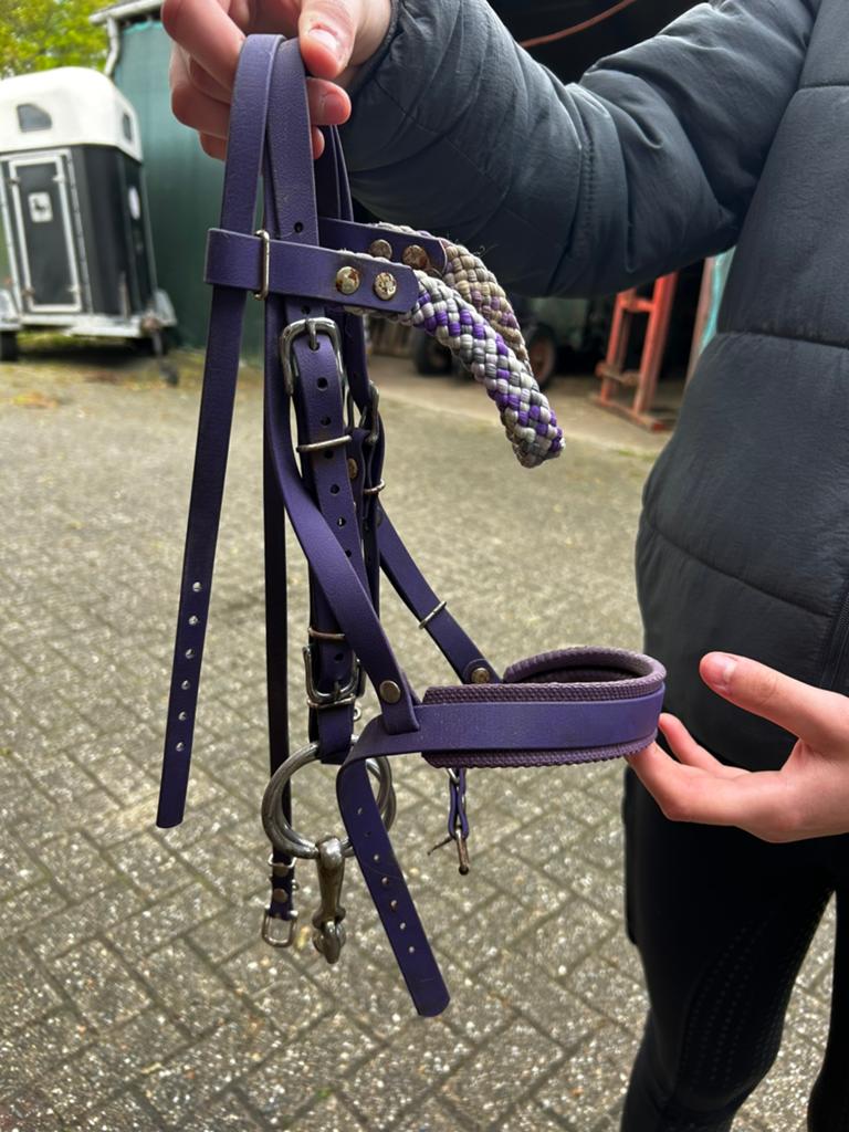 Mini shetland hoofdstel, Ophalen of Verzenden, Zo goed als nieuw, Overige soorten