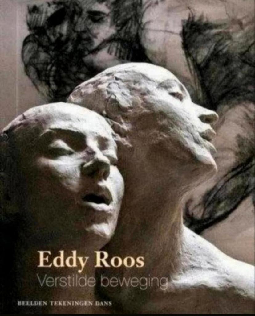 EDDY ROOS Verstilde Beweging. Drents Museum, Nederlands, Verzenden, Zo goed als nieuw, Beeldhouwkunst