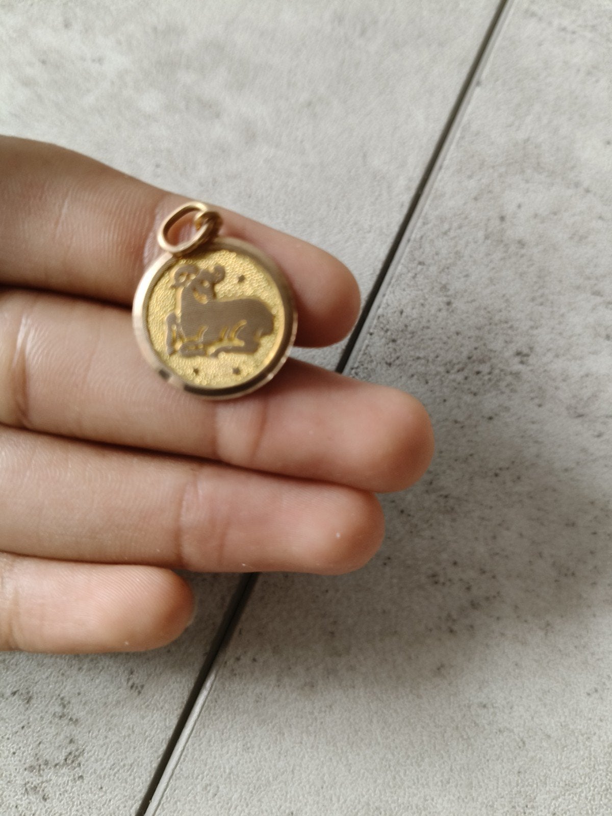 Massief 14k Gouden Sterrenbeeld Hanger – Steenbok (ca. 2 Gra, Ophalen, Zo goed als nieuw, Goud, Goud
