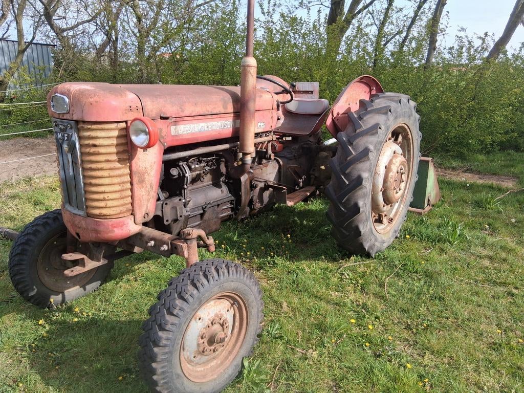 Massey Ferguson 65 met kenteken, Zakelijke goederen, Agrarisch | Tractoren, Ophalen of Verzenden