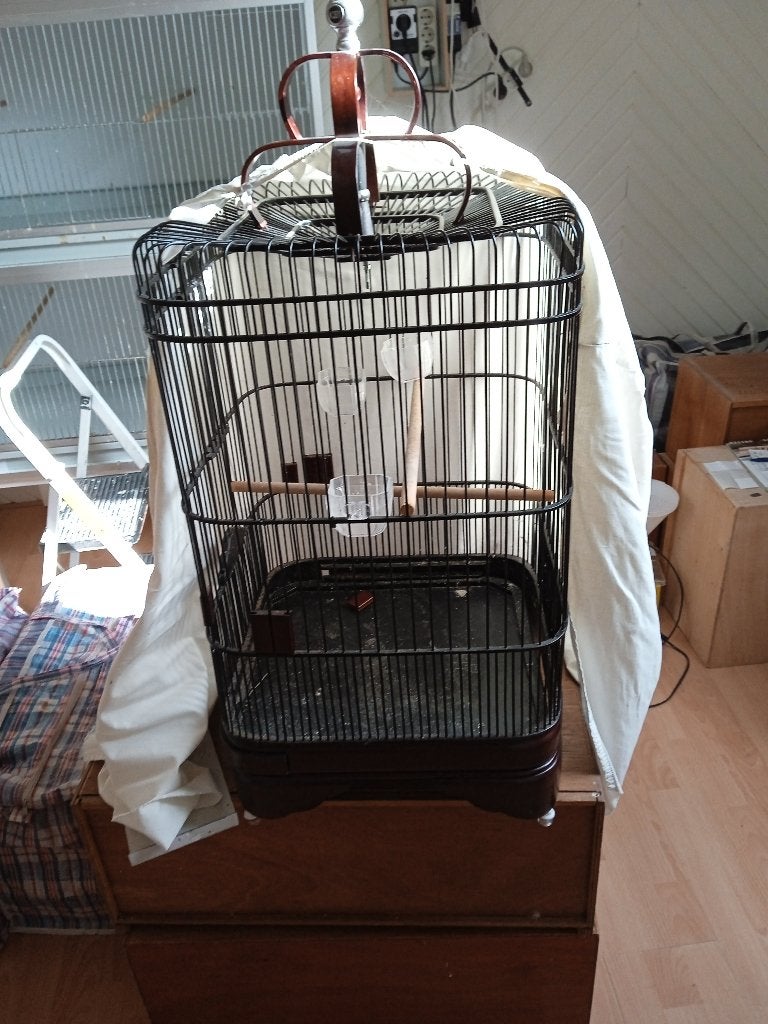 een mooie schama lijster kooi, Ophalen, Zo goed als nieuw, Hout, Vogelkooi