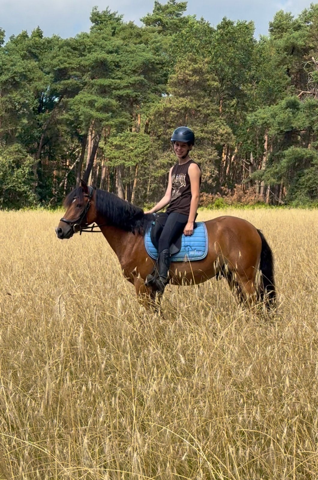 Prachtige NRPS ruin– Gouden karakter & veel potentie, Met stamboom, Ruin, Dressuurpony, Zadelmak