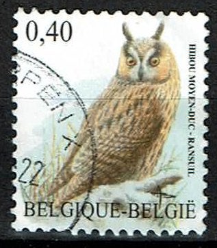 Ransuil Buzin 2007 (OBP 3737 ), Ophalen of Verzenden, Gestempeld