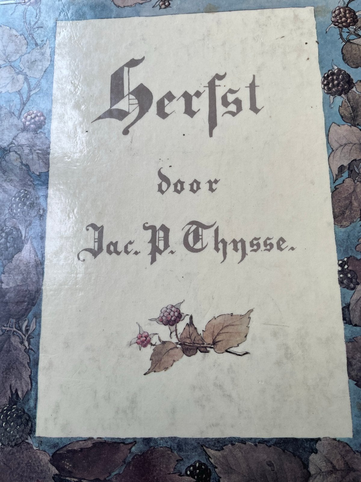 Herfst door Jac. P. Thijsse - Geïllustreerd Natuurboek, Ophalen of Verzenden, Gelezen, Natuur algemeen