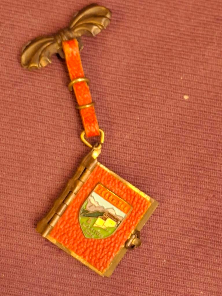 Vintage souvenir broche 1968 Zell am See, Verzamelen, Ophalen of Verzenden