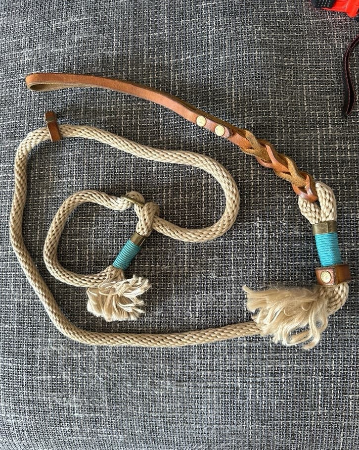 Puppy/kleine hond trainingslijn en halsband in 1, Ophalen