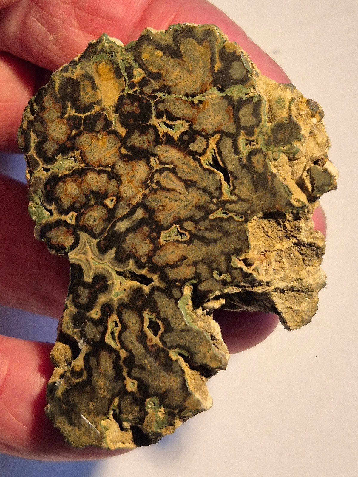 dendritische kristallen? gepolijst., Ophalen of Verzenden