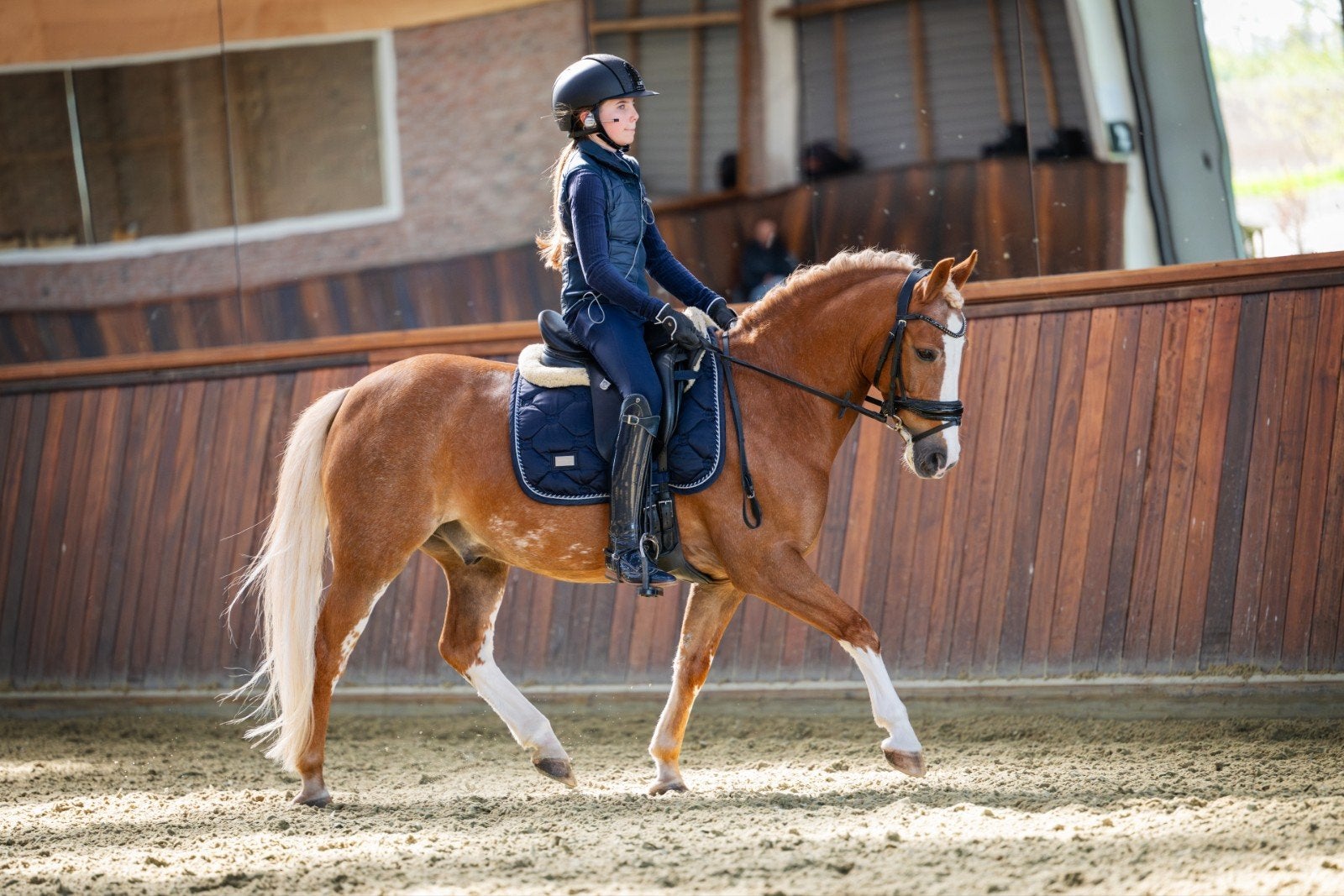 knappe allround C pony ruin, Dieren en Toebehoren, Ruin