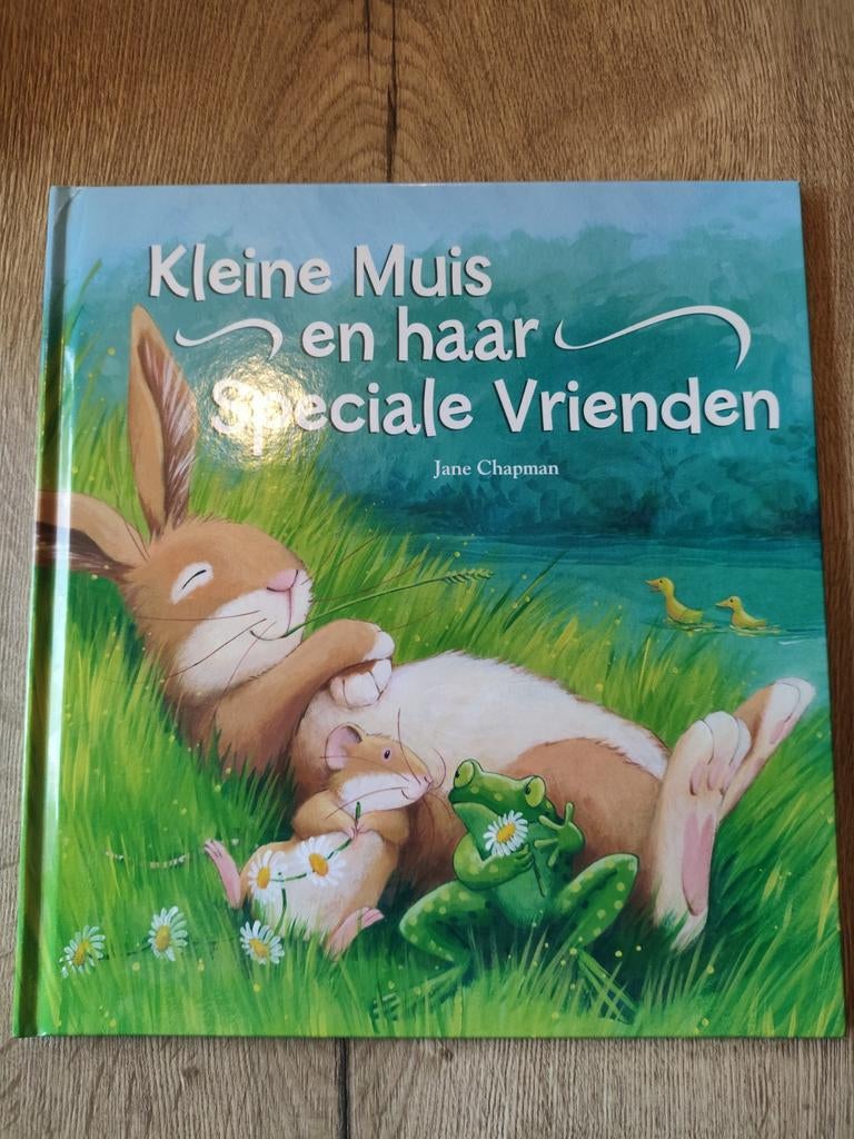 Kleuterboek: Kleine Muis en haar Speciale Vrienden, Boeken, Ophalen of Verzenden, Zo goed als nieuw, Jane Chapman, Fictie algemeen