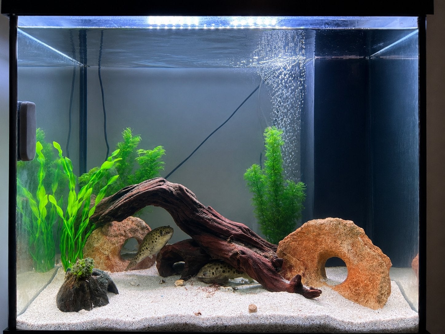 Juwel lido 120 liter aquarium met pomp en onderkast, Ophalen, Pomp, Zo goed als nieuw, Leeg aquarium