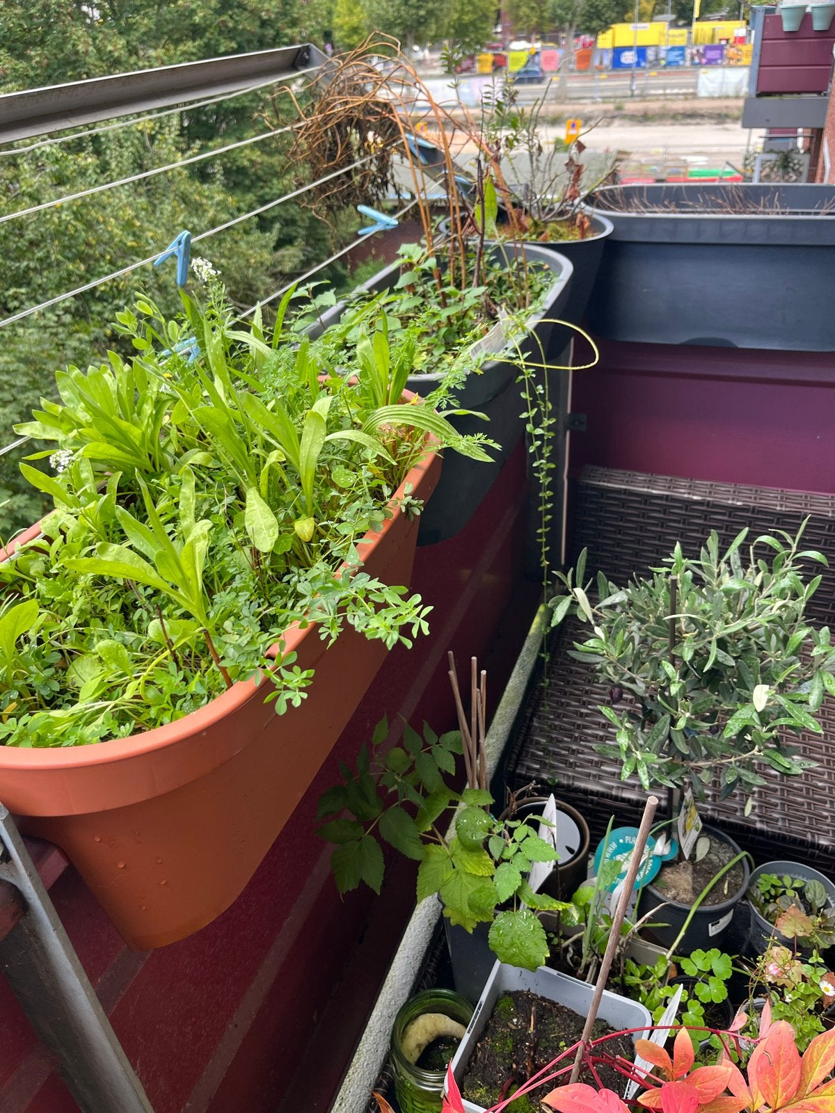 Balkonbakken en kweekbak (zonder planten), Ophalen, Kunststof, Gebruikt, Minder dan 30 cm