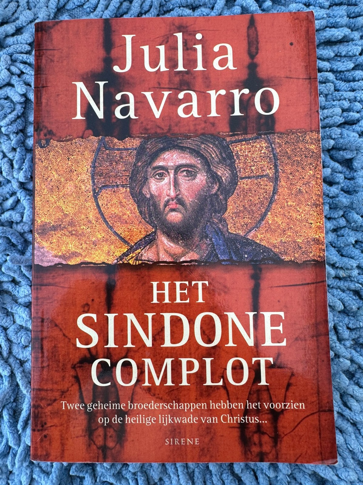 J. Navarro - Het Sindone complot, Ophalen of Verzenden, Zo goed als nieuw, J. Navarro