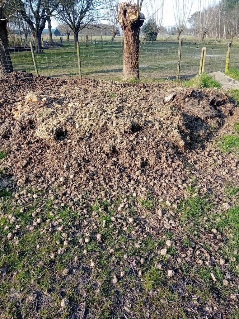 paardenmest mest, Ophalen of Verzenden