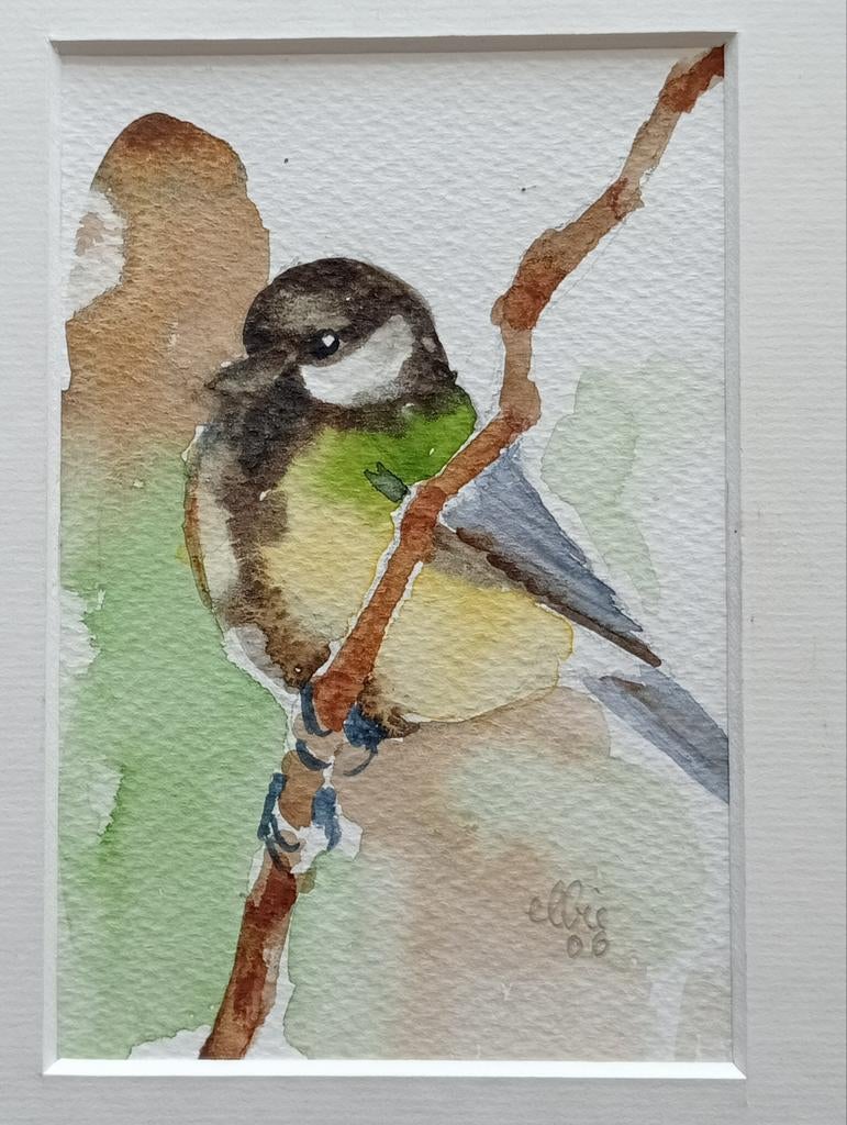 Aquarel Koolmees, Ophalen of Verzenden