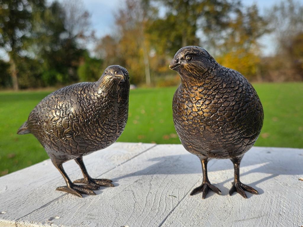 SET KWARTELS / BRONZEN TUINBEELD / VOGEL, Tuin en Terras, Tuinbeelden, Nieuw, Info@huisentuindecoratiemarie.nl, Huis en tuin decoratie marie