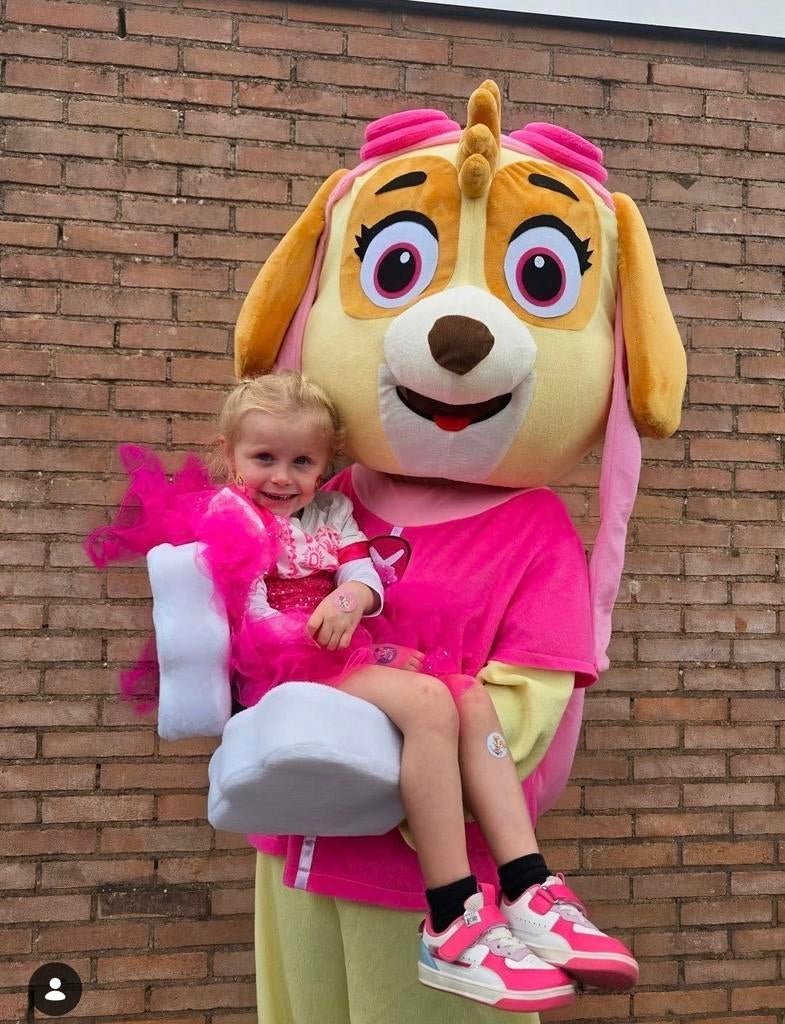 Paw Patrol - Skye huren - kinderfeestje / verjaardag, Ophalen of Verzenden, Zo goed als nieuw