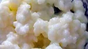 melk kefir korrels, Diversen, Levensmiddelen, Ophalen of Verzenden