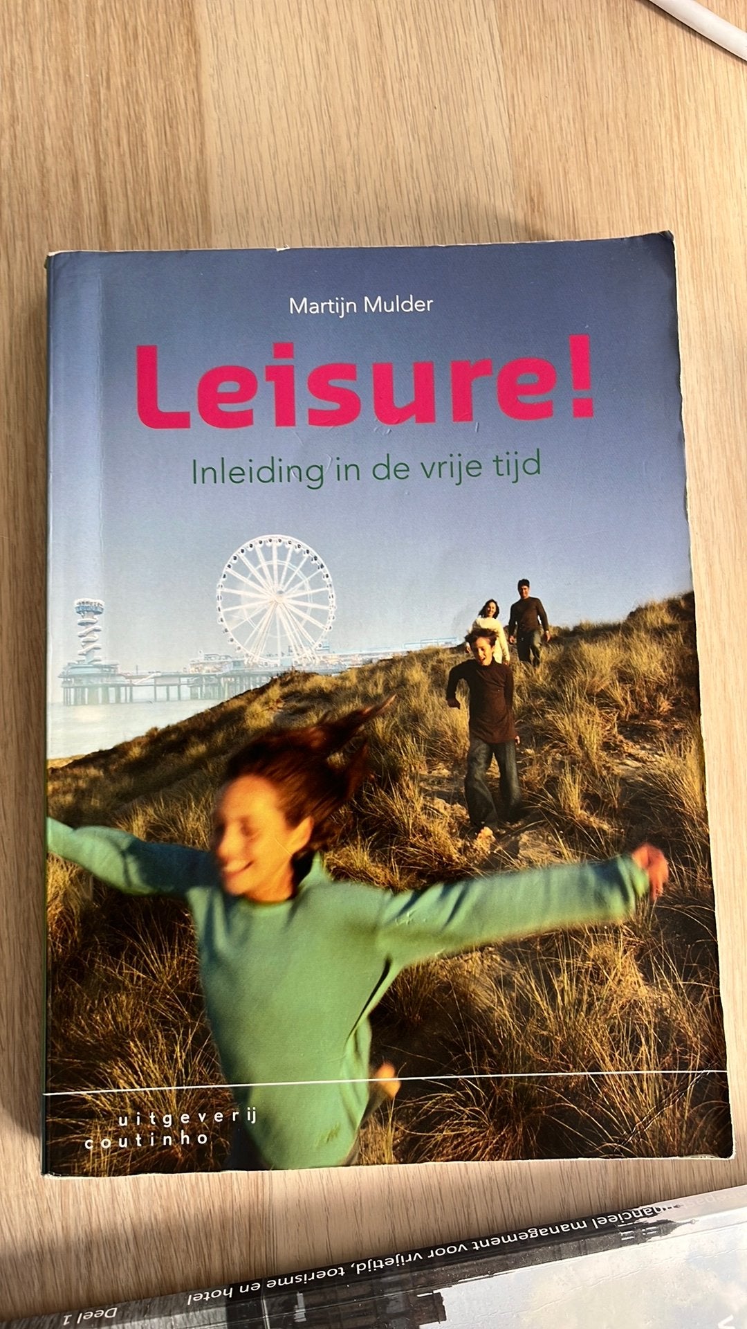 Martijn Mulder - Leisure!, Ophalen of Verzenden, Gelezen, Martijn Mulder