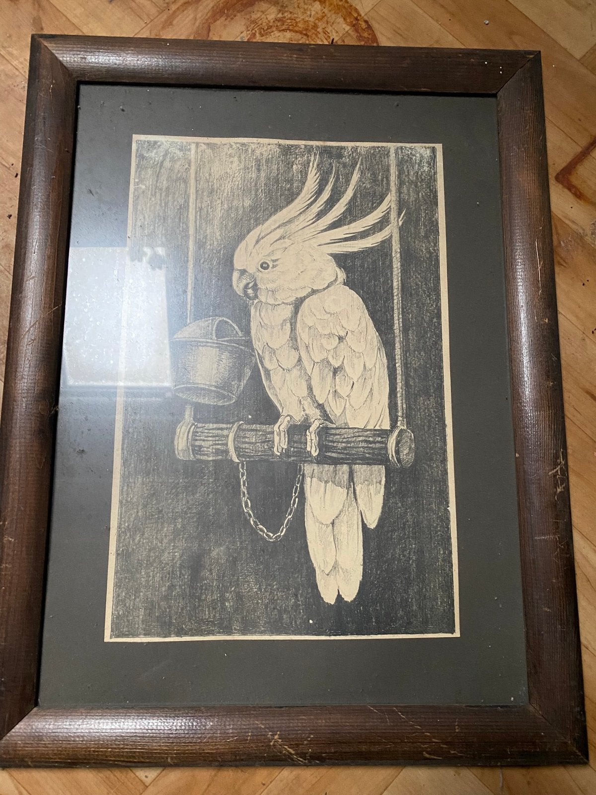 Antieke potlood tekening kakatoe vogel, Verzenden