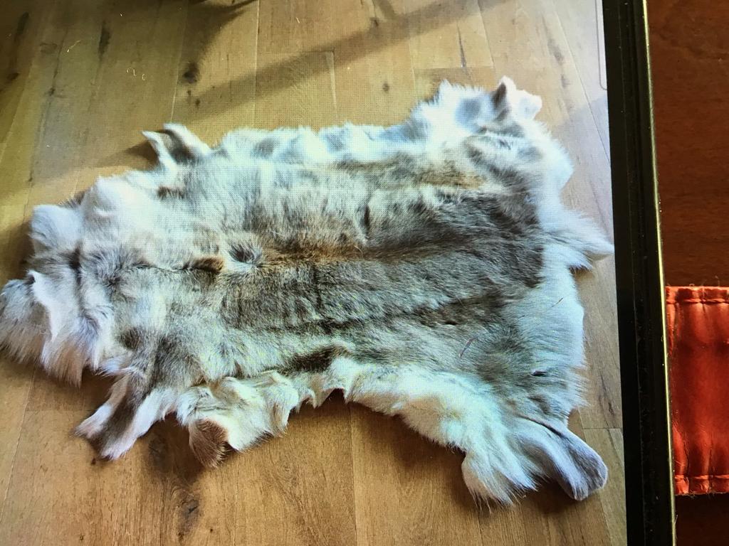 Prachtig rendiervel- decoratief en zacht, 100 tot 150 cm, Wit, Nieuw, Ophalen of Verzenden