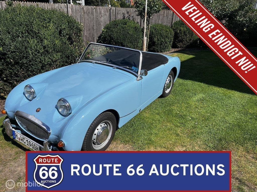 Austin-Healey Sprite Mk I | 1960 | Route 66 Auctions, Austin, Overige carrosserieën, Zwart, Bedrijf