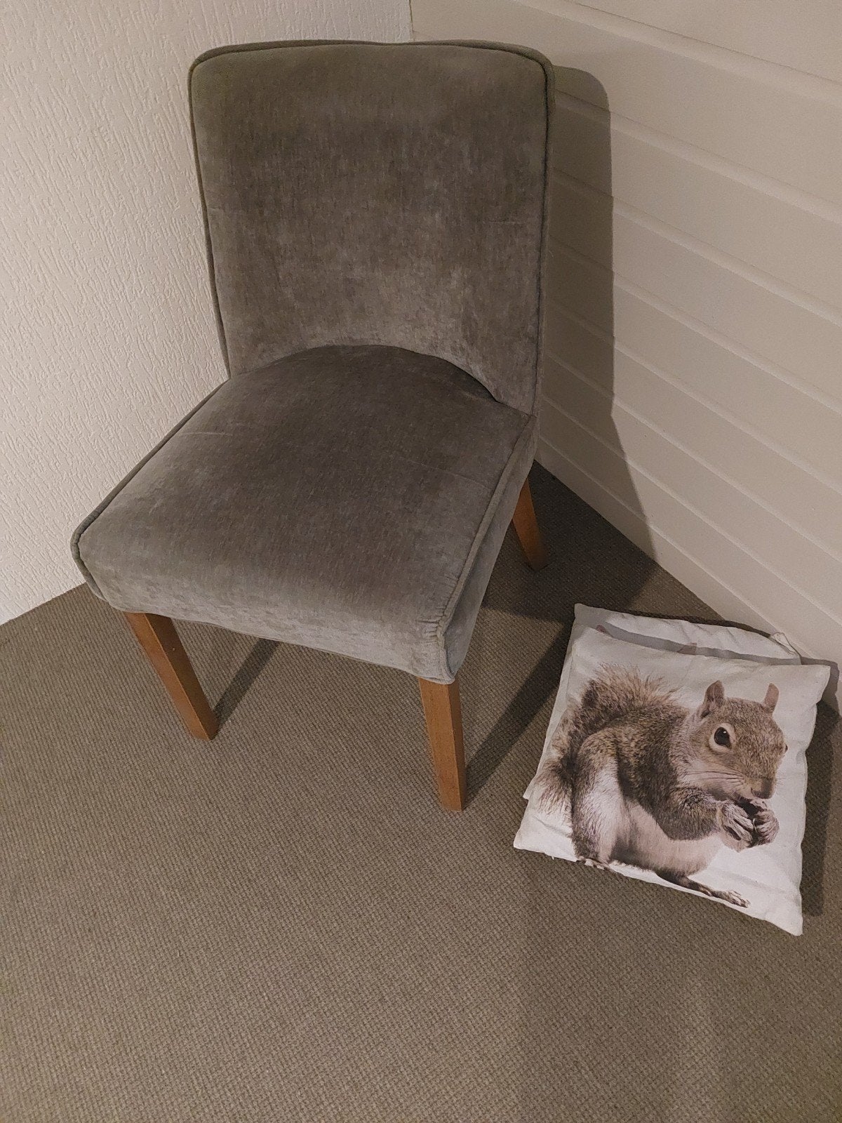 Mooie luxe stoelen - 2 stuks, Ophalen, Gebruikt, Twee, Luxe