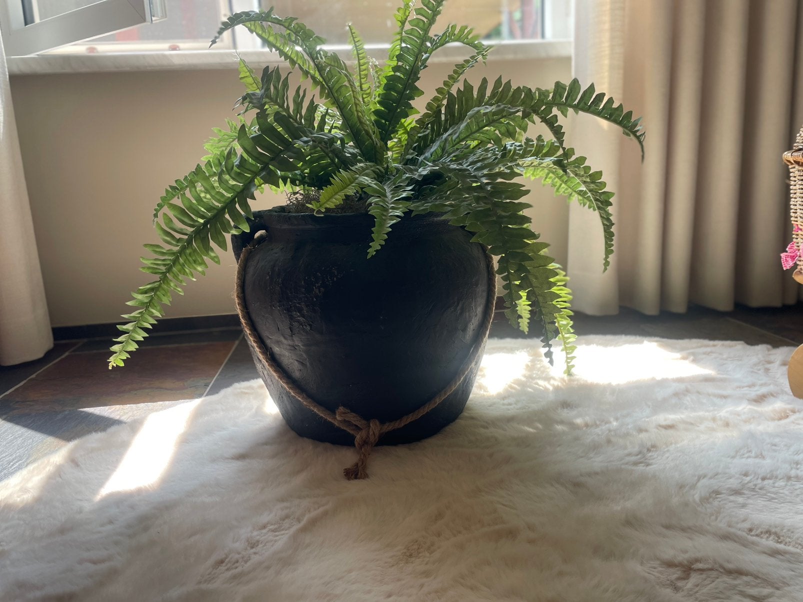 Brynxz pot inclusief varens, Overige materialen, Rond, Zo goed als nieuw, Minder dan 40 cm