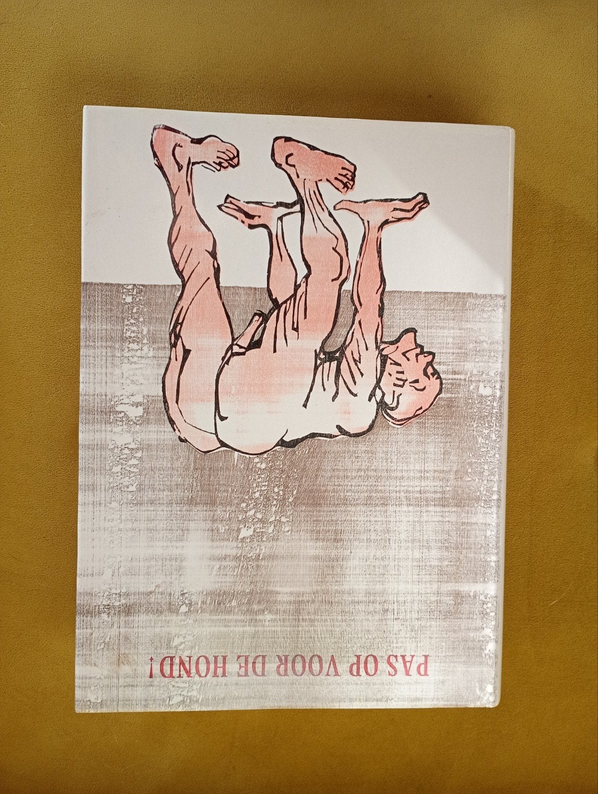 Boek Stachelswine - Uniek kunstboek, Ophalen of Verzenden, Zo goed als nieuw, Stachelswine, Europa overig