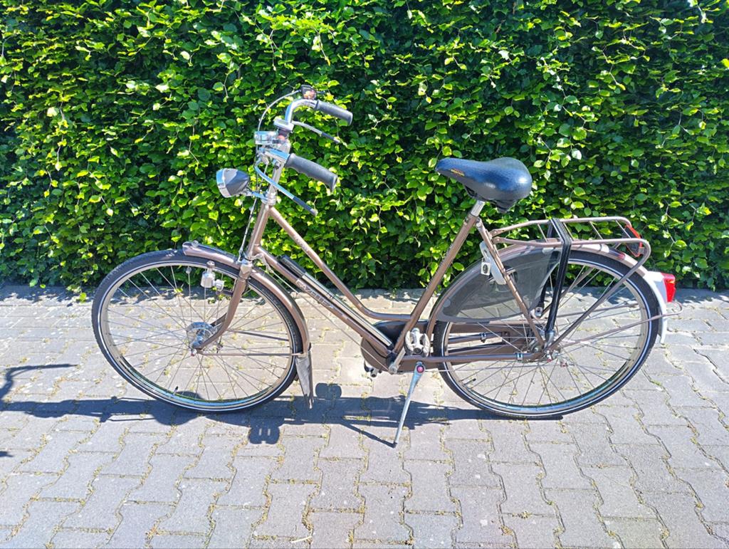 Gazelle special topklasse, Fietsen en Brommers, Fietsaccessoires | Aanhangers en Karren, Ophalen of Verzenden, Gebruikt, Overige typen