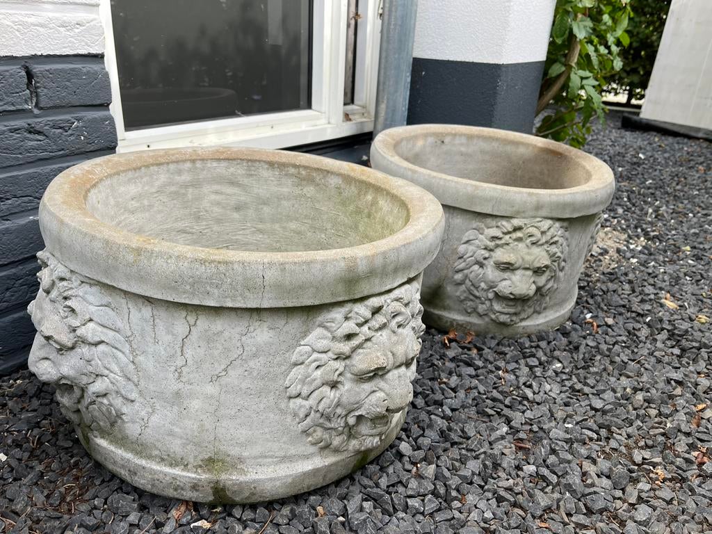 Leeuwenkop bloempotten, Steen, Gebruikt, Minder dan 30 cm, Rond