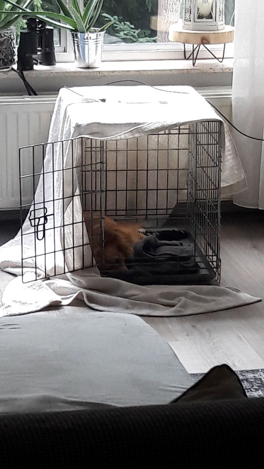 Dog bench small dog - foldable, Ophalen, Gebruikt