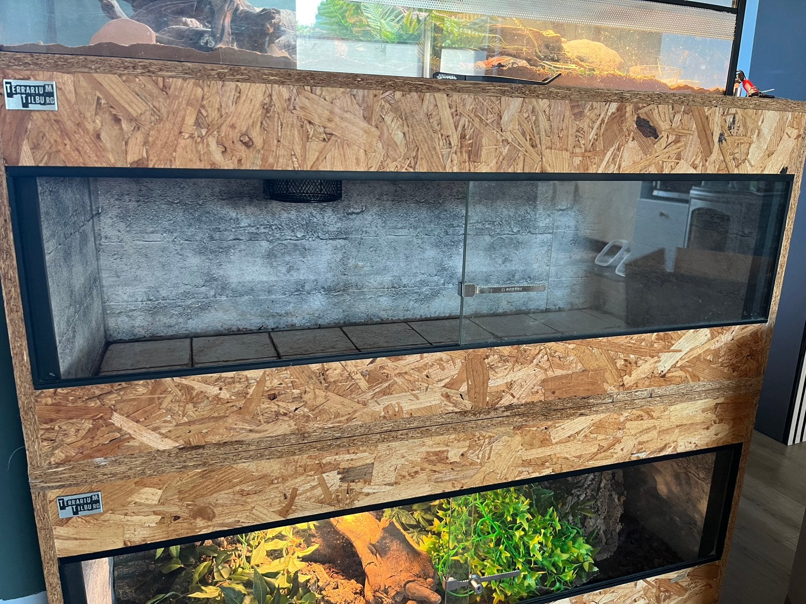 OSB Terrarium 120x50x50, Ophalen, Gebruikt, Terrarium of Paludarium