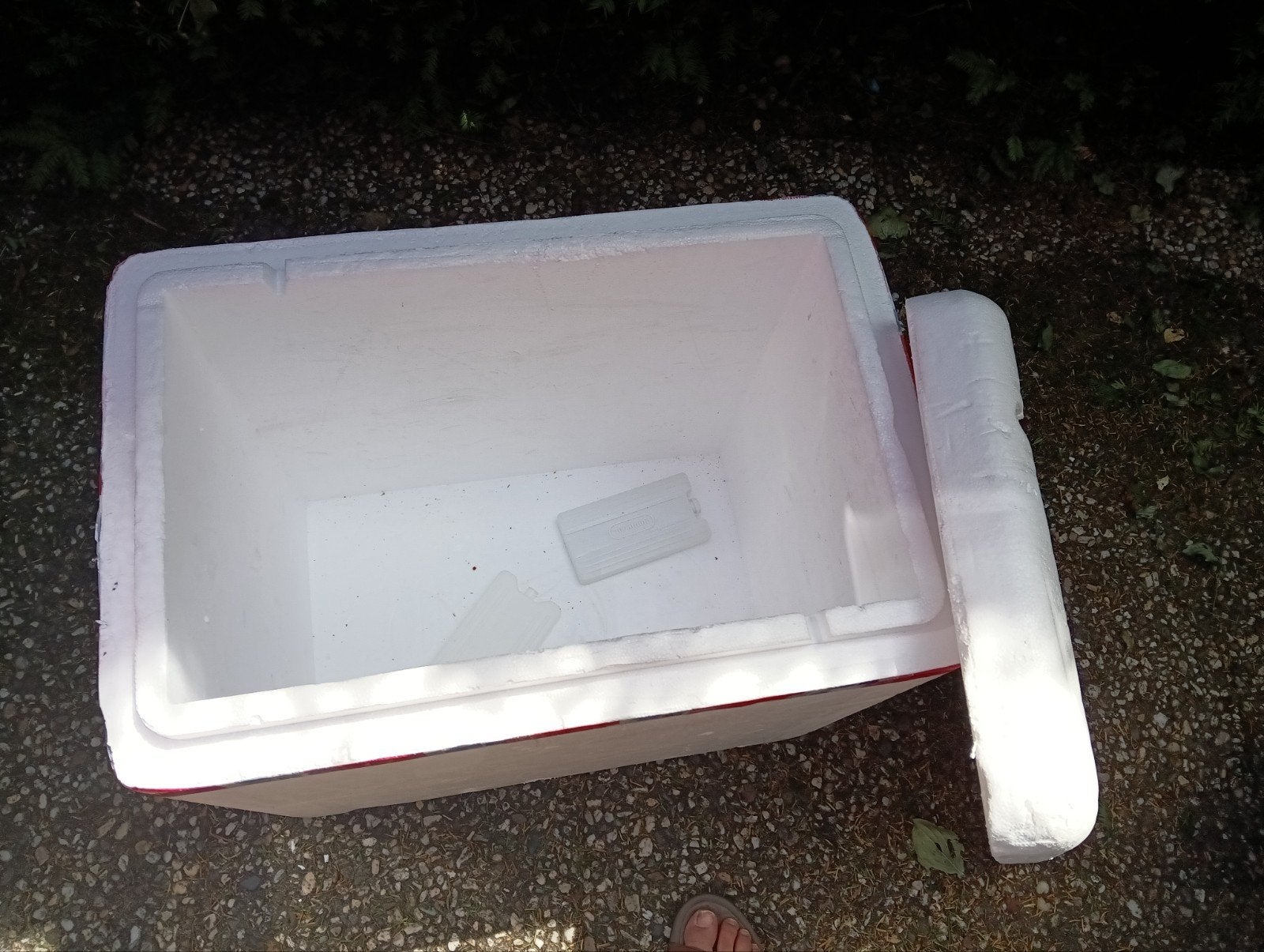 Grote piepschuim koelbox met 2 koelelementen, Ophalen, Gebruikt, Koelbox, Koelelement