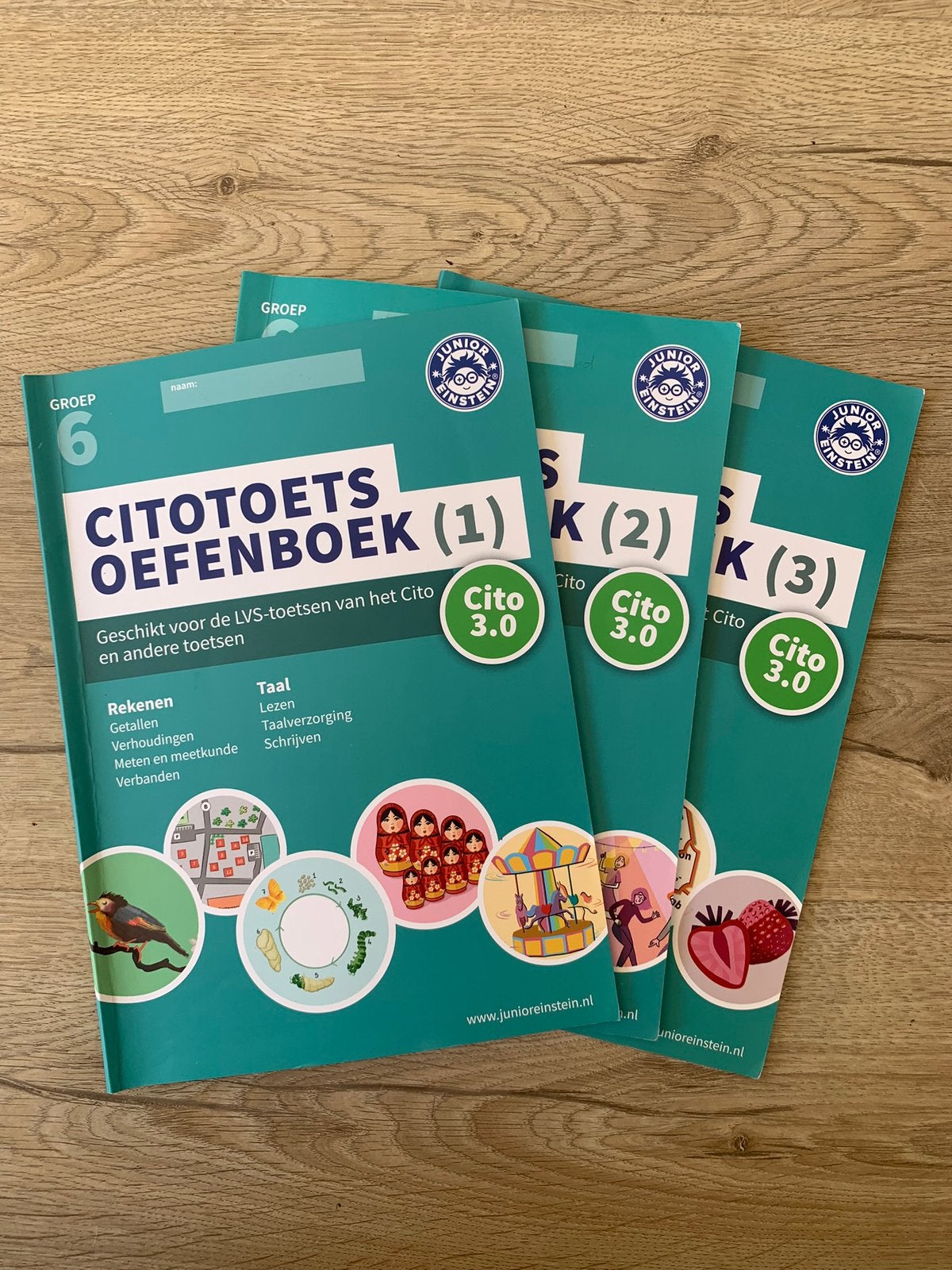 Citotoets oefenboeken groep 6 begrijpend lezen en rekenen, Boeken, Schoolboeken, Ophalen, Nieuw, Overige niveaus, Nederlands