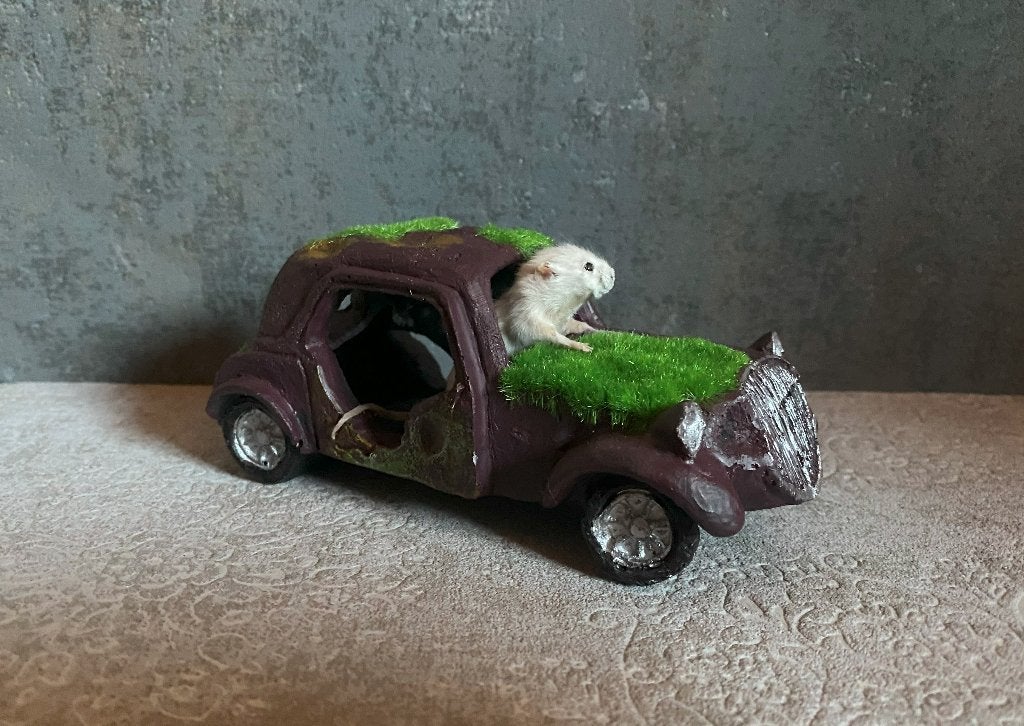 Opgezette muis in auto taxidermie, Ophalen of Verzenden, Vogel, Opgezet dier