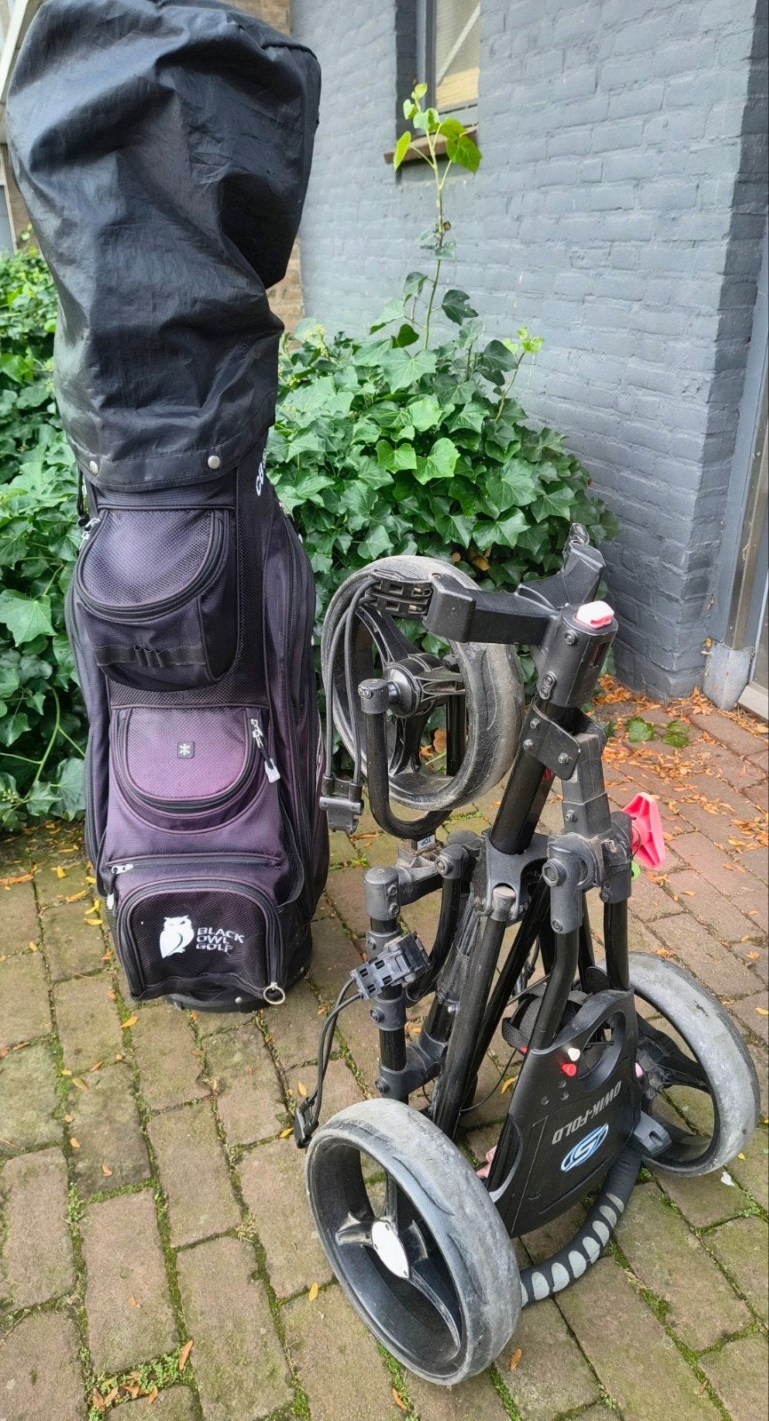 Golfset: Golftas en Golfkar (Quik-Fold)