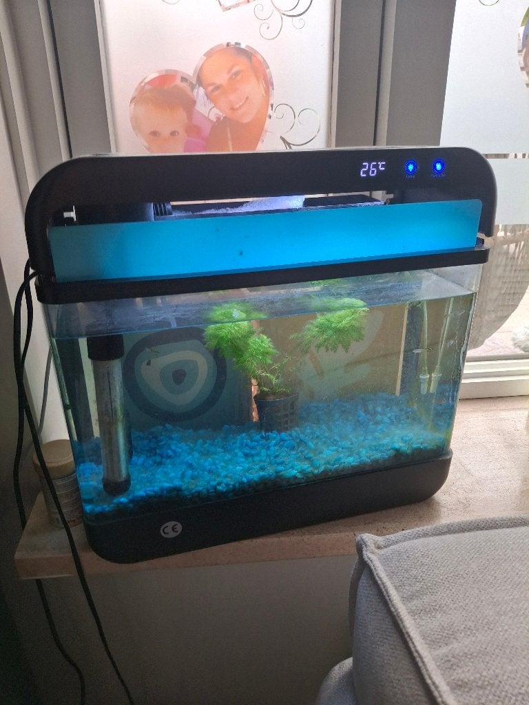 aquarium gratis, Ophalen of Verzenden, Leeg aquarium