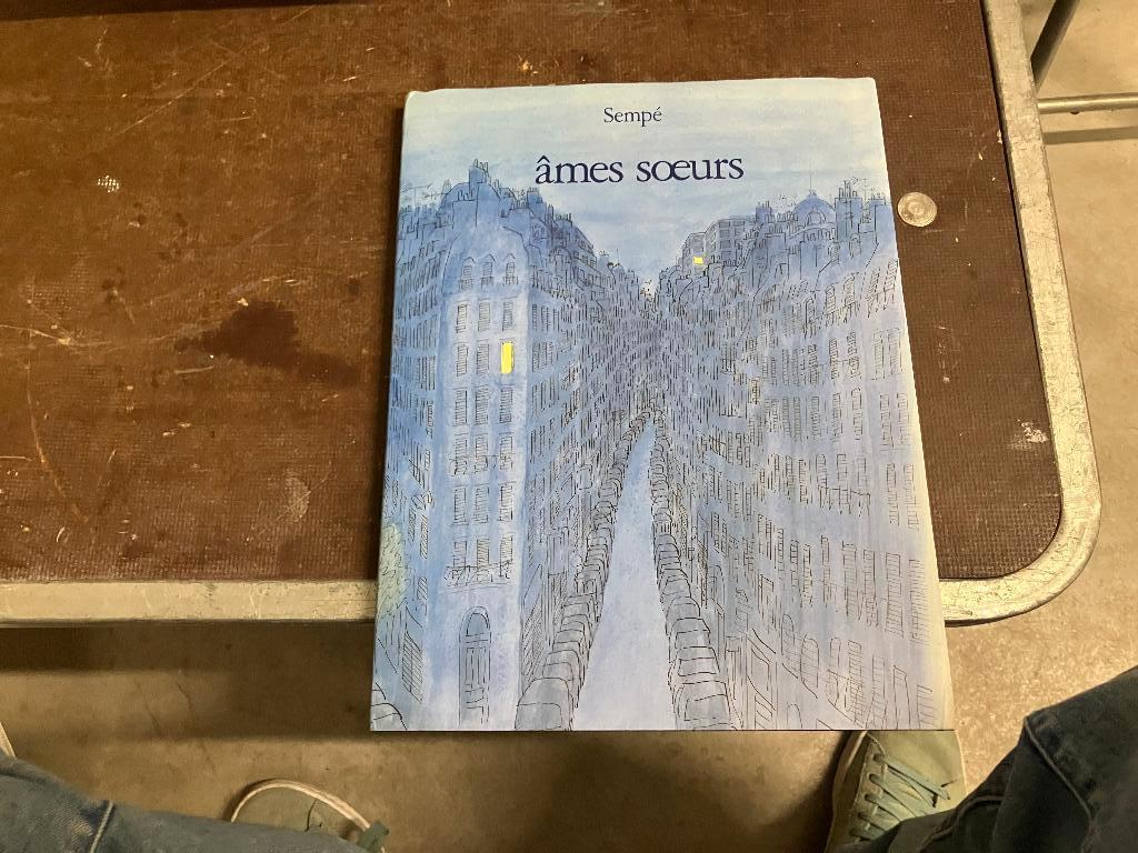 Sempé ames soeurs (1991), Cartoons, Sempé, Ophalen of Verzenden, Zo goed als nieuw